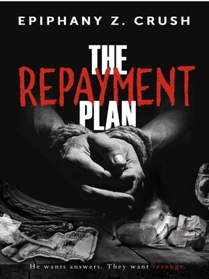 cover image of The Repayment Plan